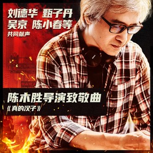 华语群星 - 真的汉子