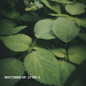 Mario Soliti - Nocturne Op. 27 No. 2