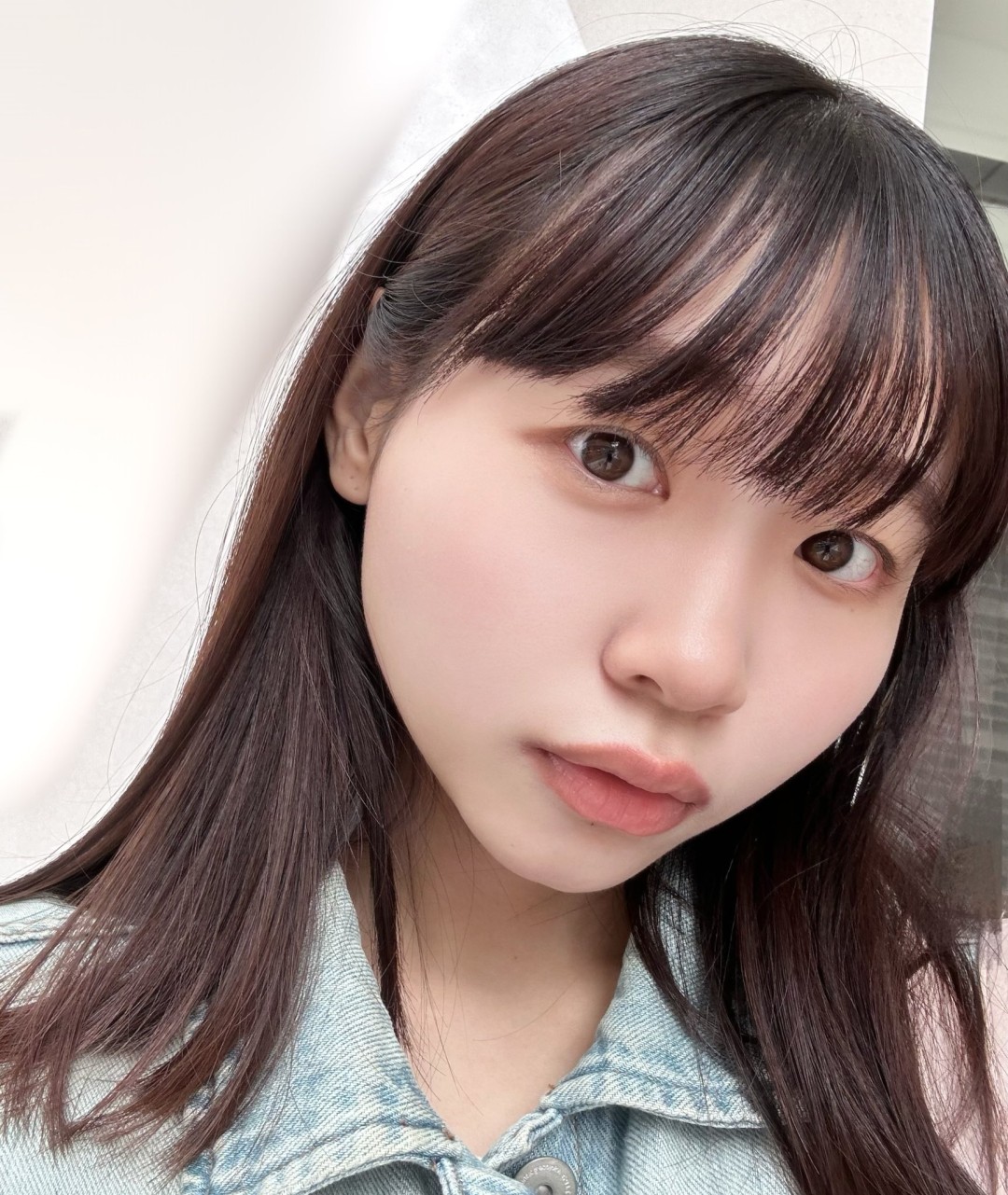 花鳥斗架(花岛斗架,Katori Touka)