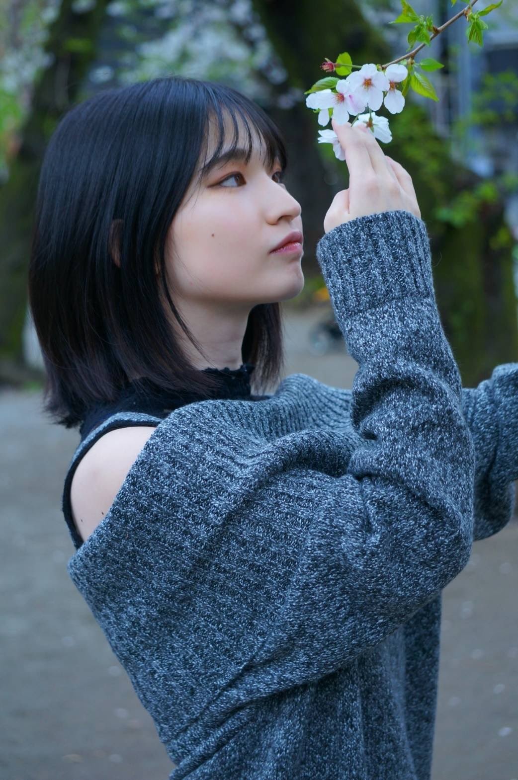 姫野兰(姫野らん,Himeno Ran)