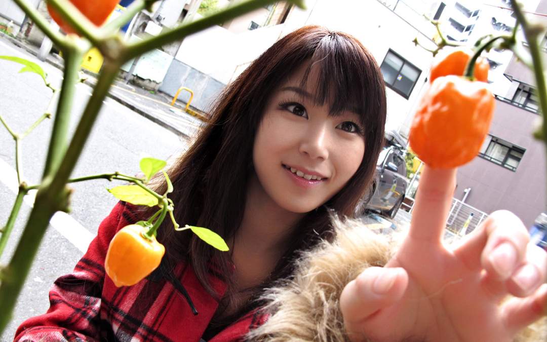 愛音まひろ(Mahiro Aine,爱音真寻)