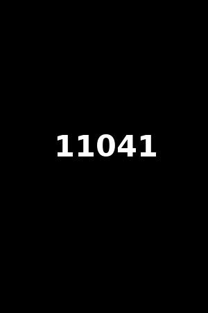 11041