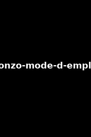 gonzo-mode-d-emploi