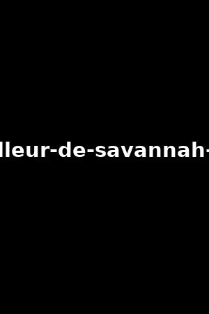 le-meilleur-de-savannah-secret