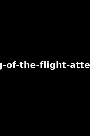 making-of-the-flight-attendants