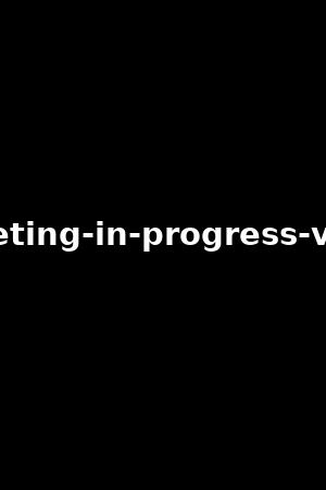 meeting-in-progress-vol.3