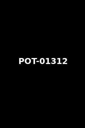 POT-01312
