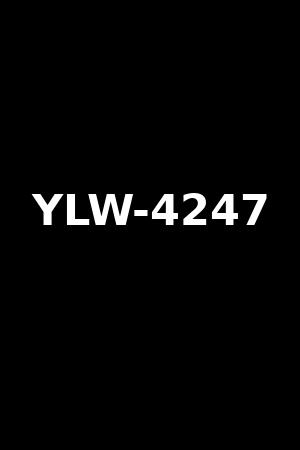 YLW-4247