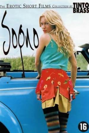 梦