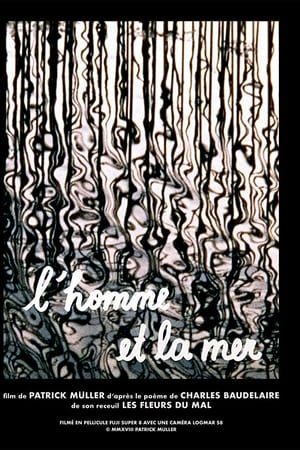 L'homme et la mer