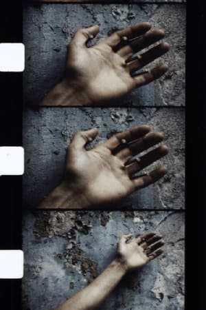 Chutes de Cristo