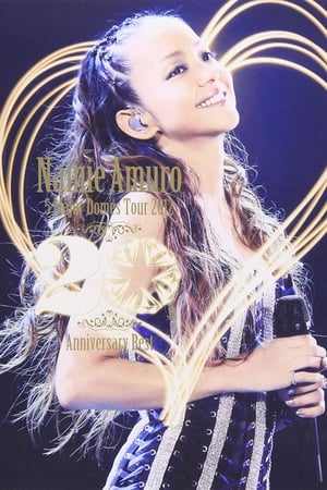安室奈美惠5大巨蛋巡演