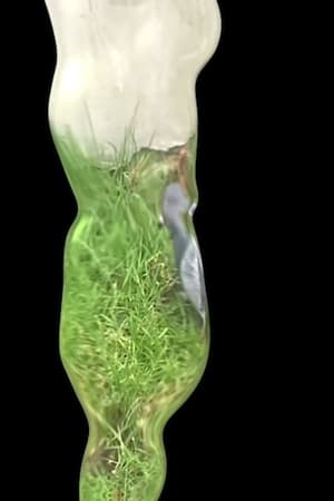 The liquid over my head
