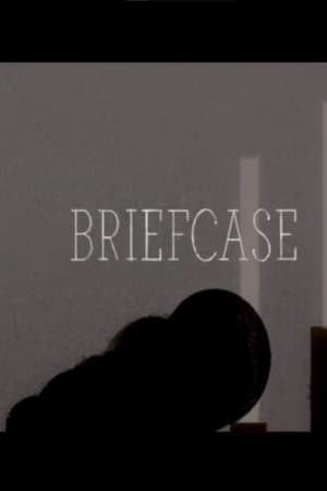 Briefcase
