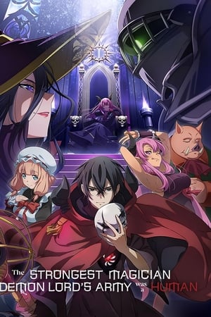 魔王军最强的魔术师是人类