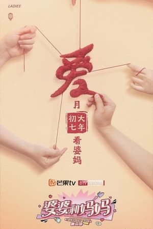 婆婆和妈妈第2季