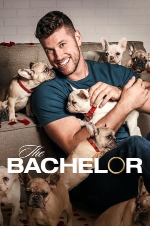 The Bachelor第26季