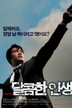 甜蜜的人生