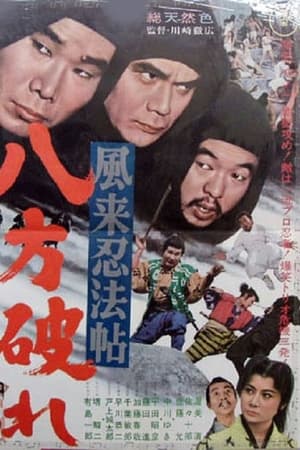 風来忍法帖　八方破れ