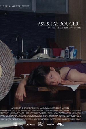 Assis, pas bouger