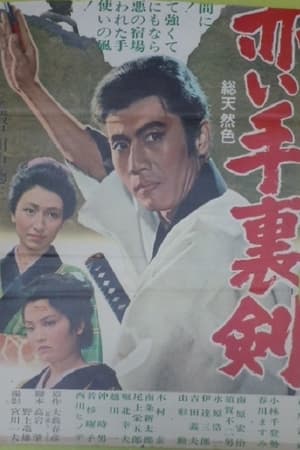 赤井手里剑