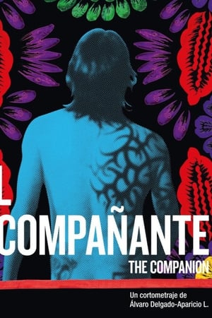 El acompañante