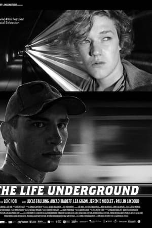 The Life Underground