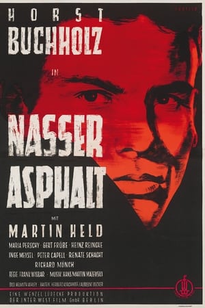 Nasser Asphalt