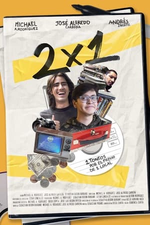 2x1