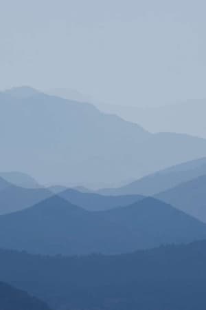 Dragi Aki