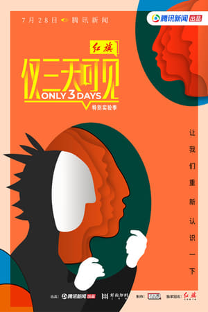 仅三天可见第2季