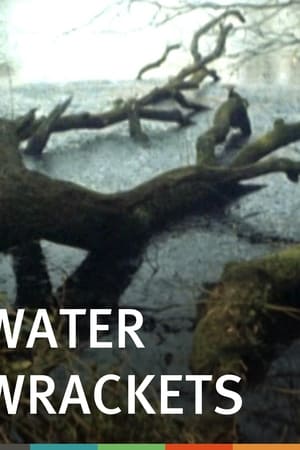 Water Wrackets