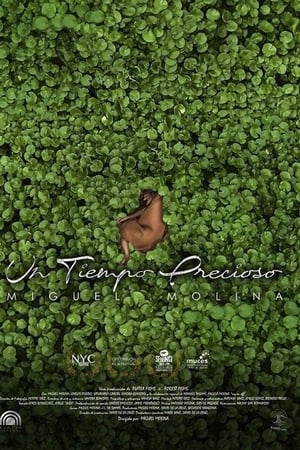 Un tiempo precioso