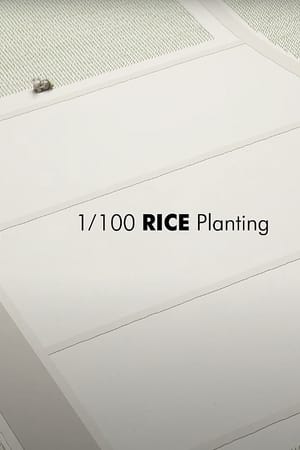 1/100 RICE Planting
