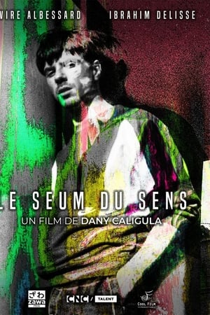 Le SEUM du SENS