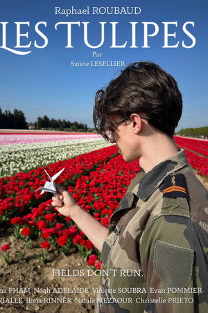 Les Tulipes