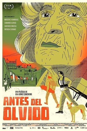 Antes del olvido