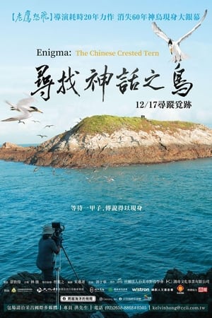 寻找神话之鸟