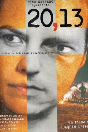 20,13