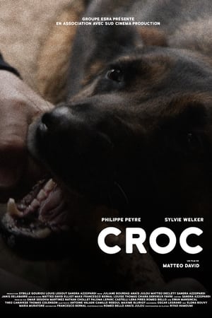 CROC