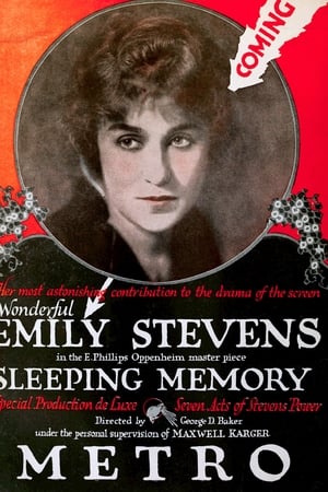 A Sleeping Memory