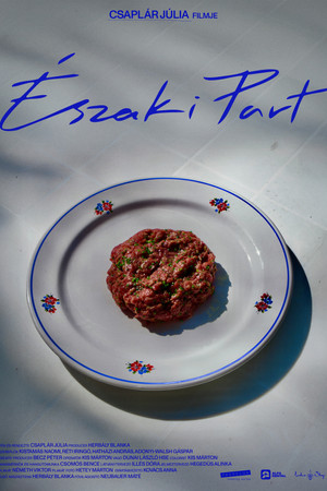 Északi part