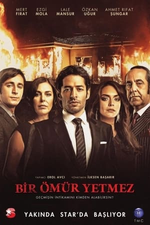 Bir Ömür Yetmez