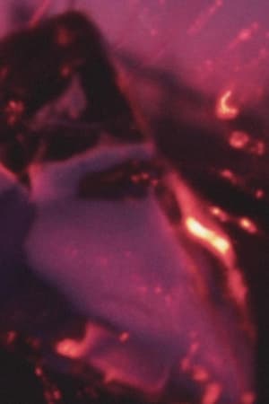 水晶の舟は光の海を泳ぐ