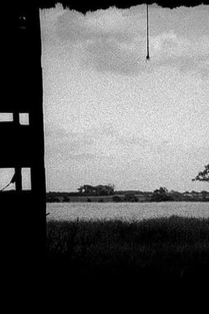Barn