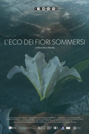 L'eco dei fiori sommersi