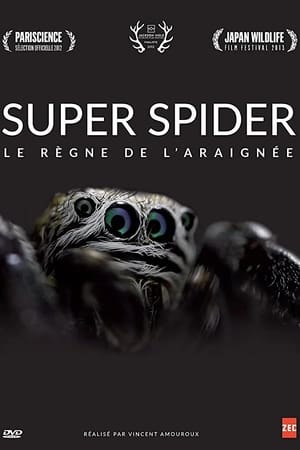 Le Règne de l'Araignée