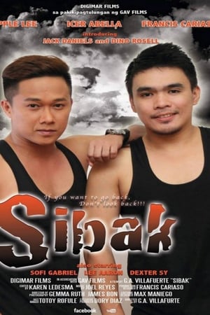 Sibak: If You Want to Go Back, Don’t Look Back!!!