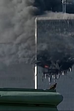 WTC the First 24 Hours