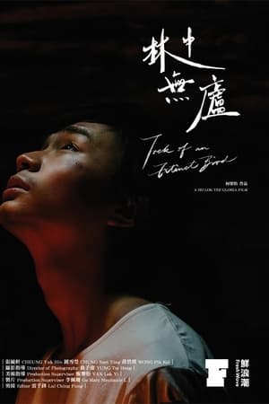 林中無廬